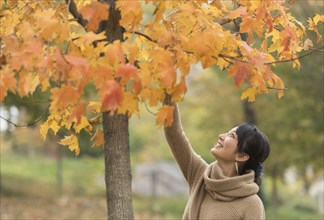 Asian woman reaching for autumn leaves in park