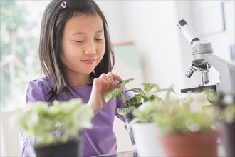 Chinese student examining plants in science lab