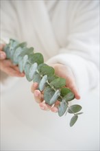 Mixed race woman holding eucalyptus stem and leaves