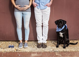 Caucasian man and expectant mother with dog and baby shoes