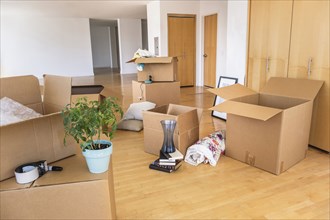 Cardboard boxes for moving in empty apartment