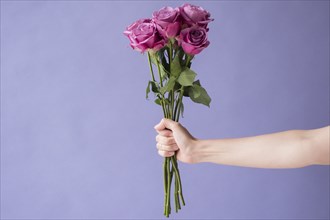 Arm of Caucasian woman holding bouquet of roses