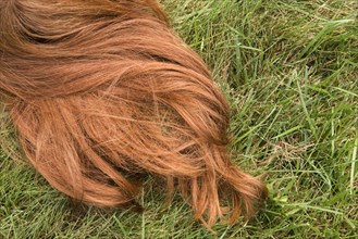 Red hair of Caucasian girl laying in grass