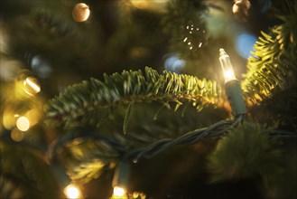 String lights on Christmas tree