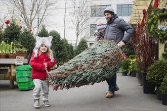 Caucasian father and daughter carrying wrapped Christmas tree