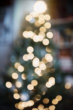 Defocused lights on Christmas tree