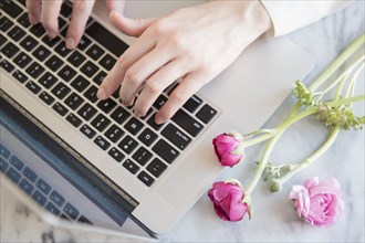 Hands of Caucasian woman typing on laptop near flowers