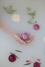 Hand of Caucasian woman in milk bath with flowers