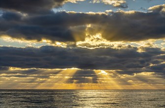 Sunrays and golden clouds over ocean at sunrise