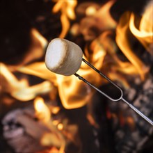 Close-up of marshmallow at bonfire