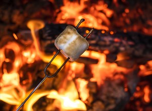 Close-up of marshmallow at bonfire