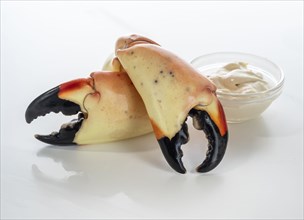 Studio shot of stone crab claws and sauce