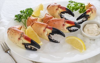 Plate of stone crab claws over ice with lemon and sauce