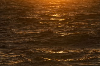 Sunlight reflected in sea waves at sunrise