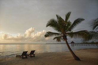 Lounge chairs on tropical beach at sunset