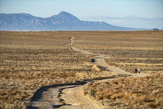 Dirt road in desert landscape