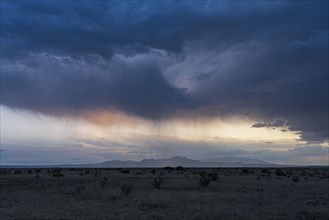 Storm clouds and rain above desert landscape