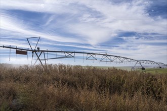 Irrigation system in field