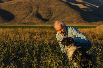 Man with border collie in field at sunset