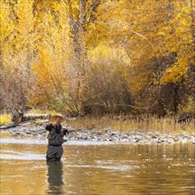 Senior man fly fishing in Big Wood River in Autumn
