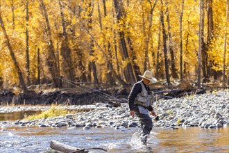 Senior fisherman wading in Big Wood River in Autumn