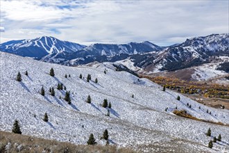 Snow covered hillside