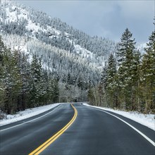 Road through snowy forest