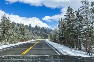 Highway through snowy forest