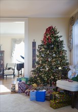 Christmas tree and presents in living room