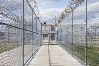 Chainlink fence in prison