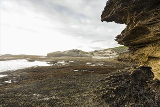 Coastal rock formations