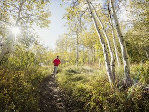 Man jogging in forest on sunny day