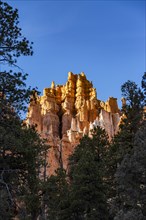 Hoodoo rock formations in canyon