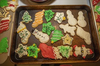 Decorated christmas cookies on baking tray