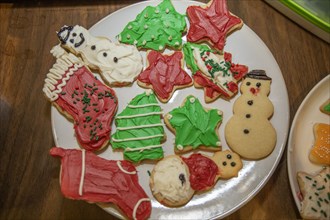 Decorated christmas cookies on plate