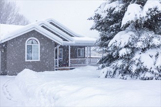 House and fir trees covered with fresh snow