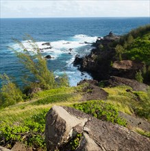 Sea coast in West Maui Natural Area Reserve