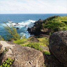 Sea coast in West Maui Natural Area Reserve