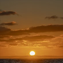 Sun rising above ocean