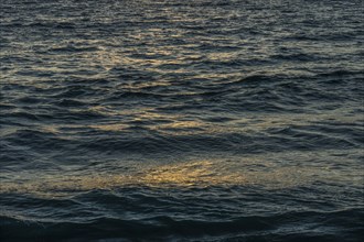Dark early morning ocean waves reflecting golden sunlight