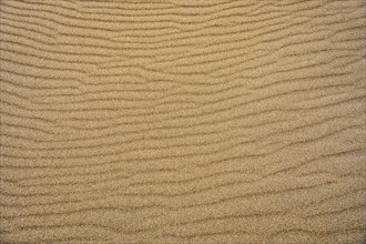 Close-up of rippled sand