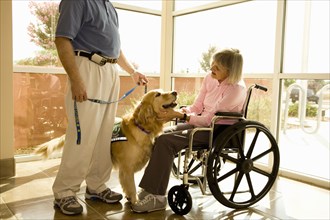 Dog assisted therapy for patient in wheelchair