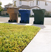 Trash bins awaiting pickup at curb