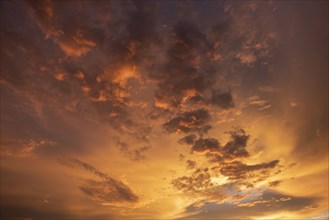 Dramatic golden clouds in sunset sky