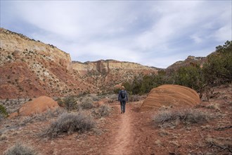 Rear view of woman hiking in desert landscape