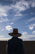 Rear view of woman in straw hat standing in desert landscape