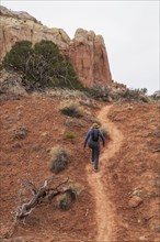 Rear view of woman hiking in desert landscape