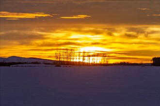USA, Idaho, Bellevue, Sun rising over snow covered field