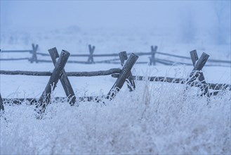 Wooden fence in snow covered field