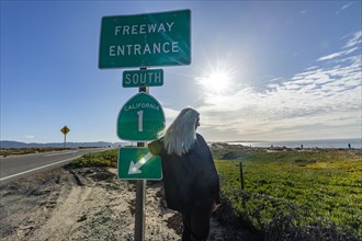 Rear view of senior blonde woman at Highway 1 entrance sign